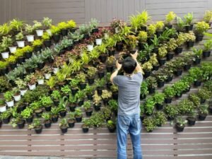 membuat vertical garden