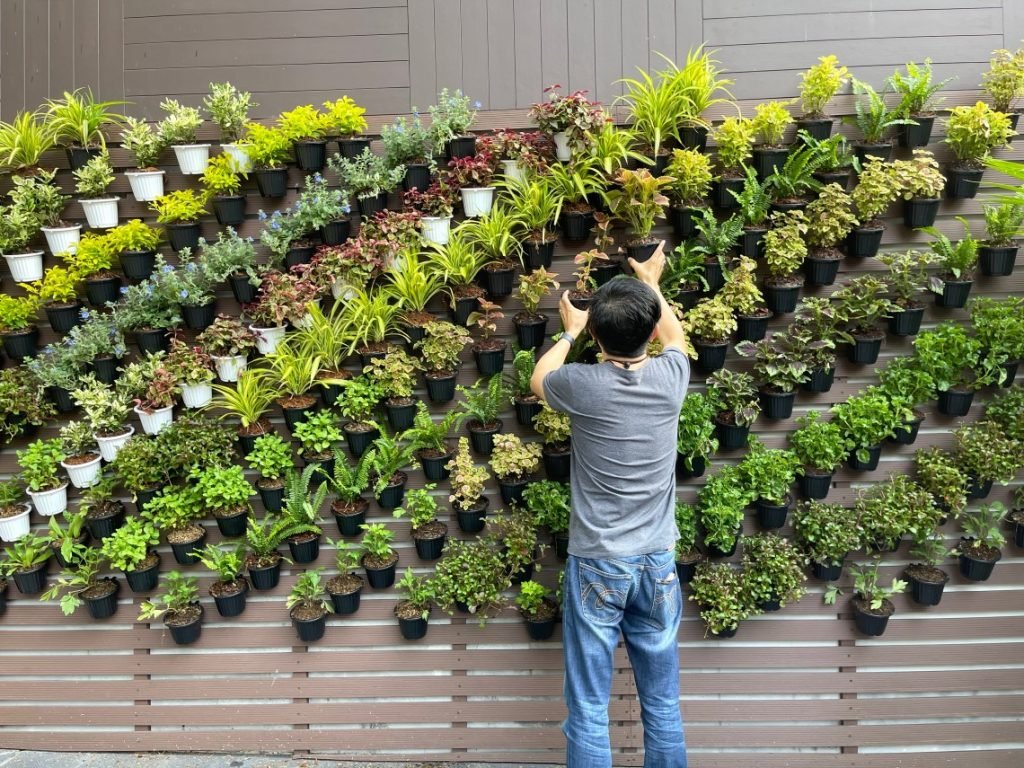 Membuat Vertical Garden Sederhana di Dinding Rumah