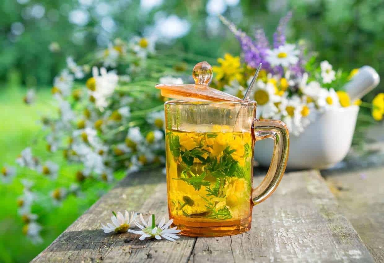 Teh Herbal dari Kebun Sendiri: Mint, Chamomile, Rosella