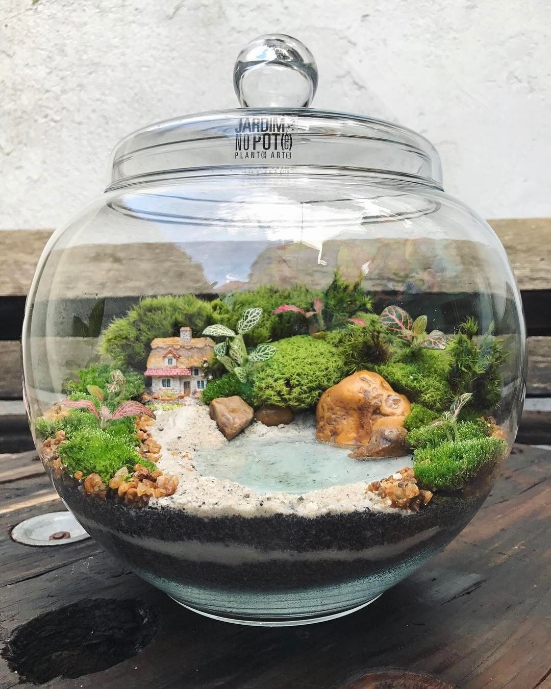 Membuat DIY Terrarium dan Kokedama: Miniatur Ekosistem