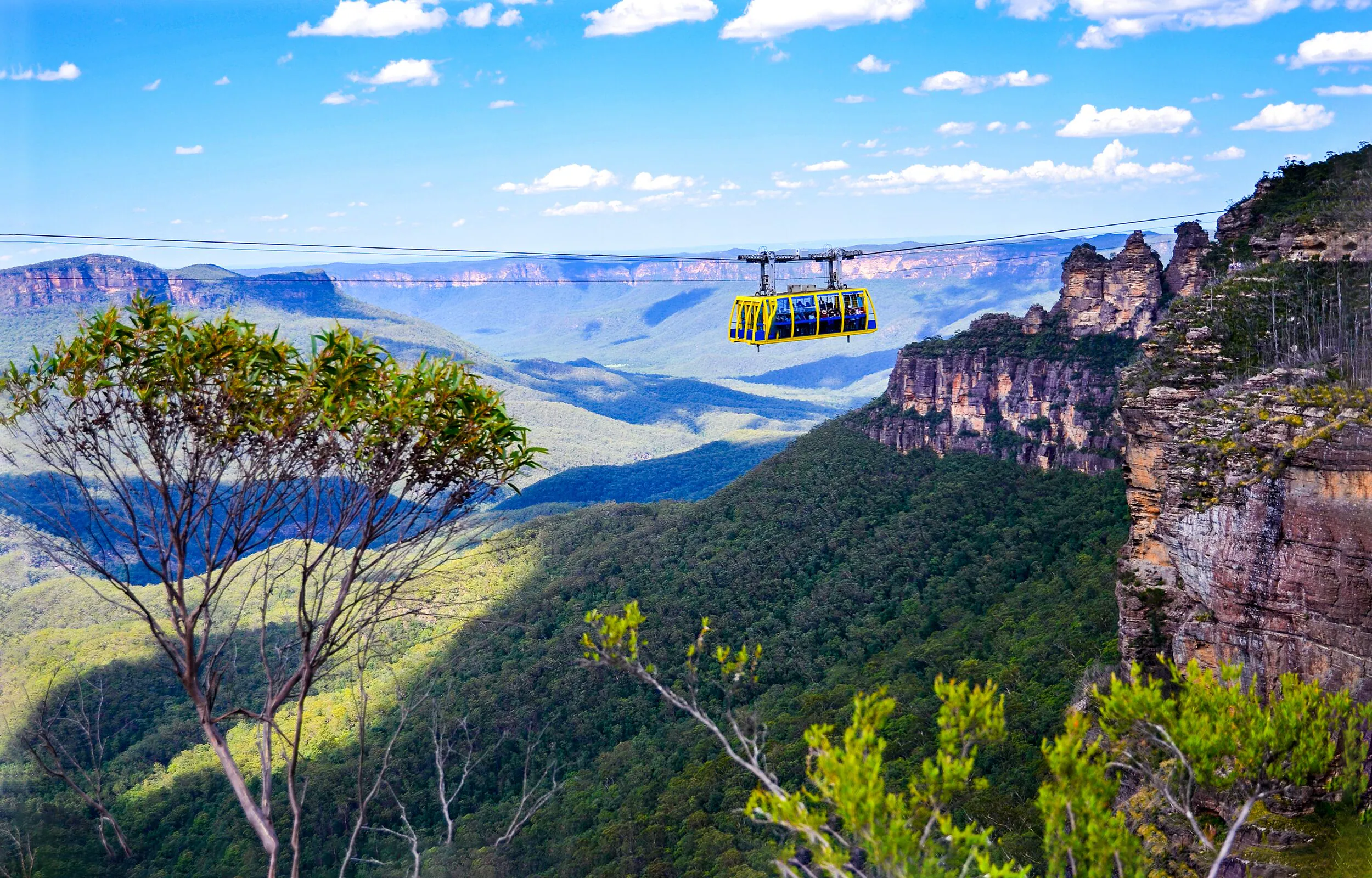Blue Mountains: Rumah bagi Keragaman Eukaliptus